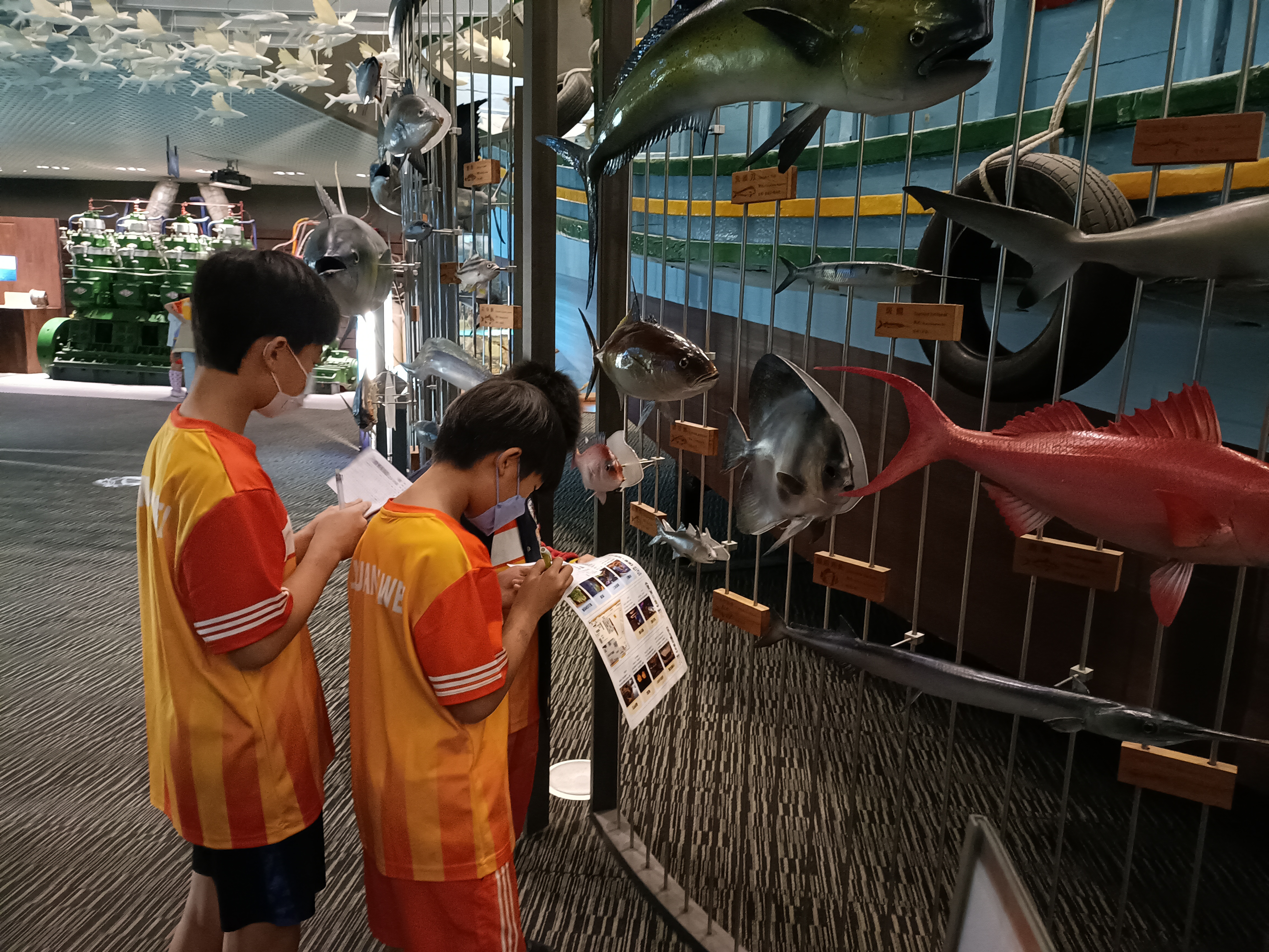 壯圍國小-蘭陽博物館_蘭博蒐查線，於海之層學習海洋與魚類的知識