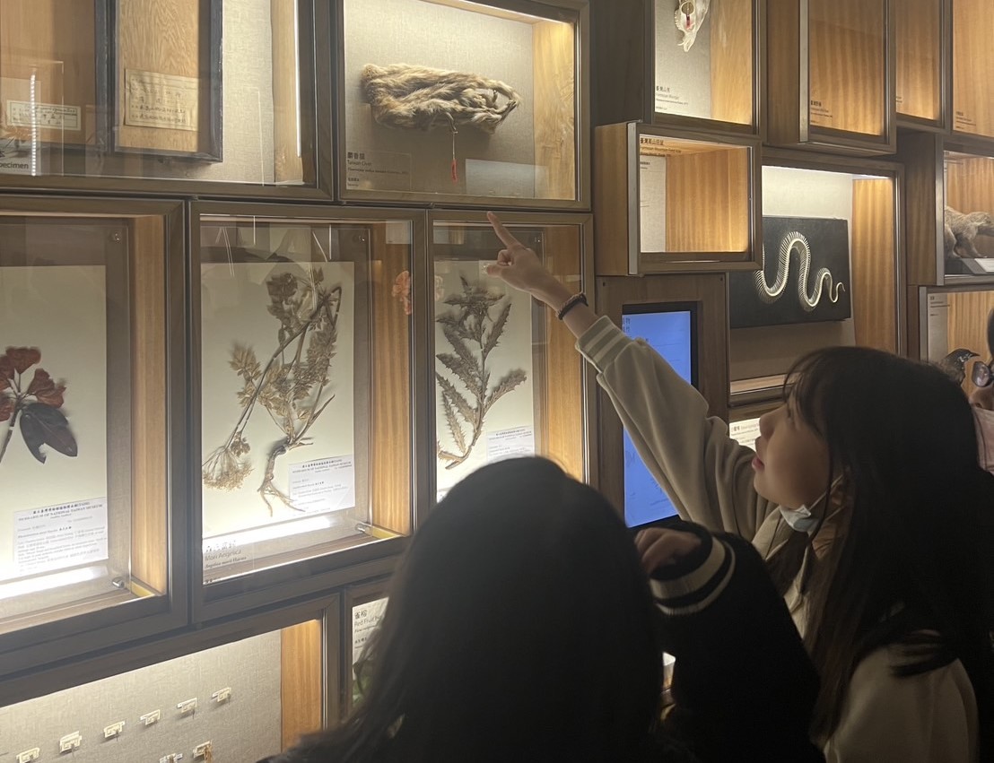 08_參觀新竹241藝術空間，脫下鞋子入展間與作品互動